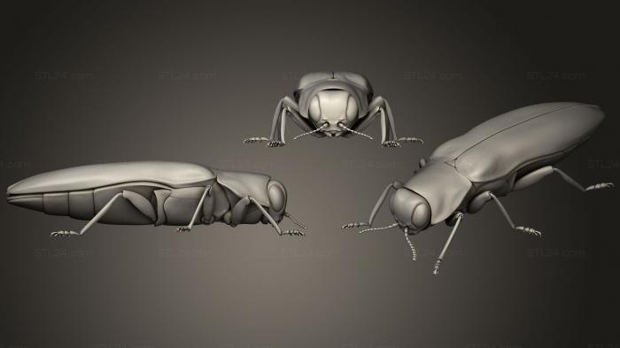 Насекомые (Жуки-насекомые 101, INSCT_0055) 3D модель для ЧПУ станка